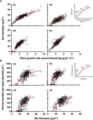 Differential Maize Yield Hybrid Responses to Stand Density Are Correlated to Their Response to Radiation Reductions Around Flowering